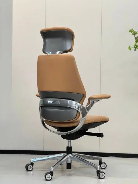 Ergonomic Chairs