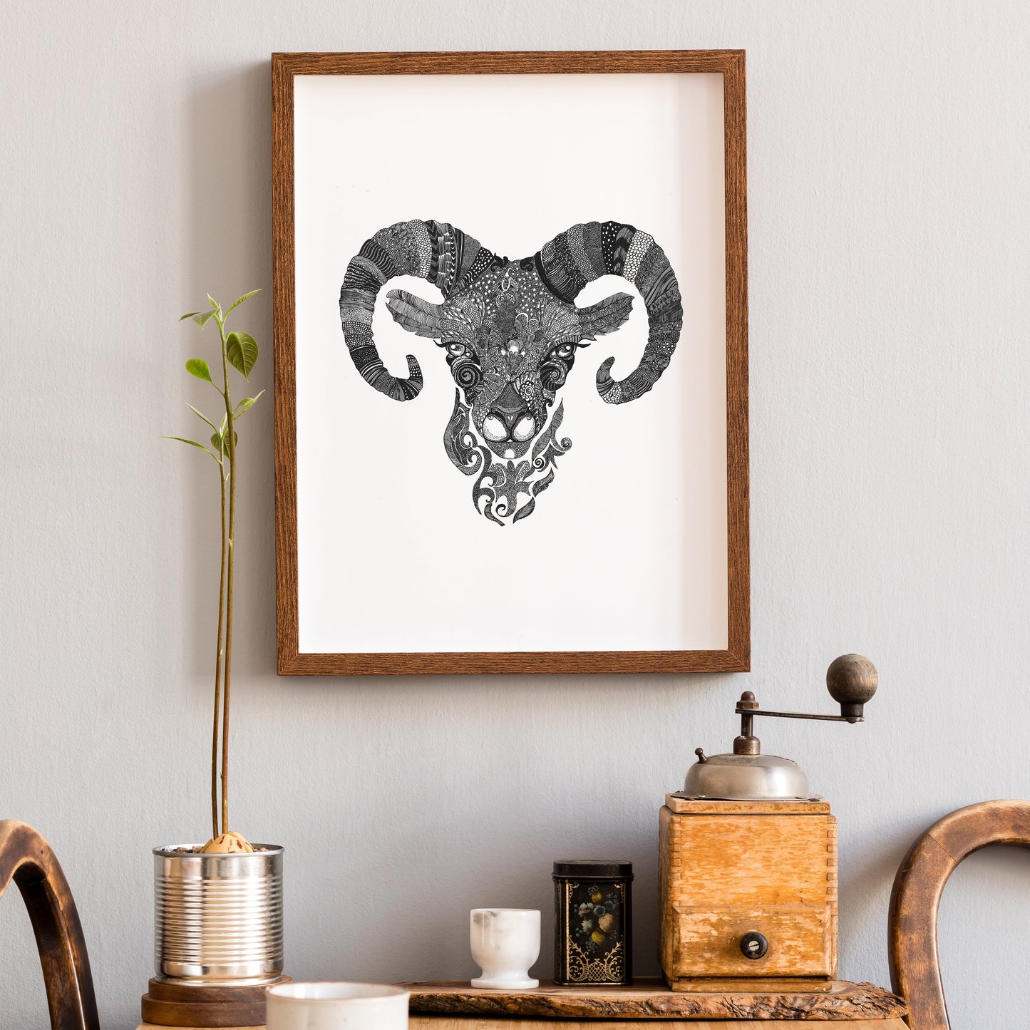 Sheep