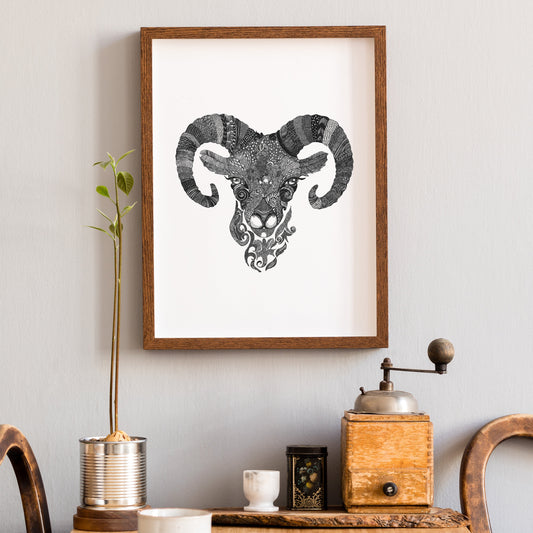 Sheep